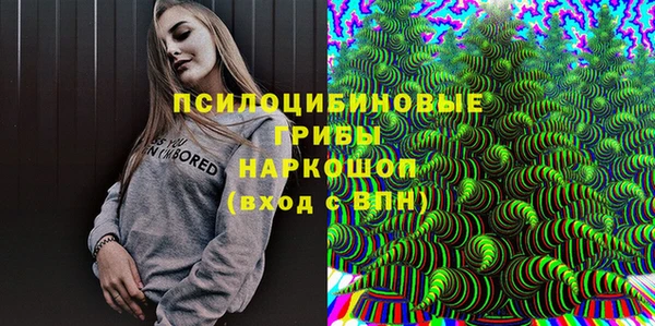 спиды Володарск