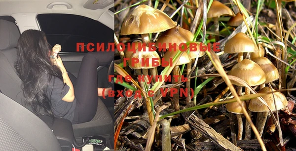 спиды Володарск